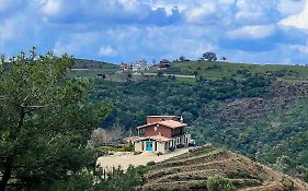 Ayda Bağları Winery&Vineyards